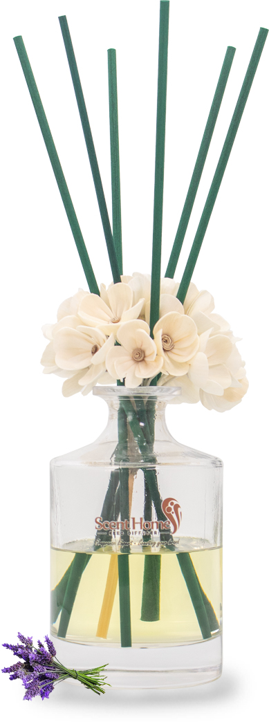 Que mây tán hương hoa oải hương Lavender Classic