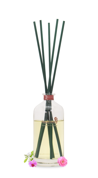 Que mây tán hương ban mai Aura Spring