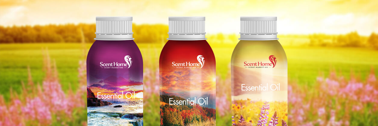 Essential & Fragrance Oils