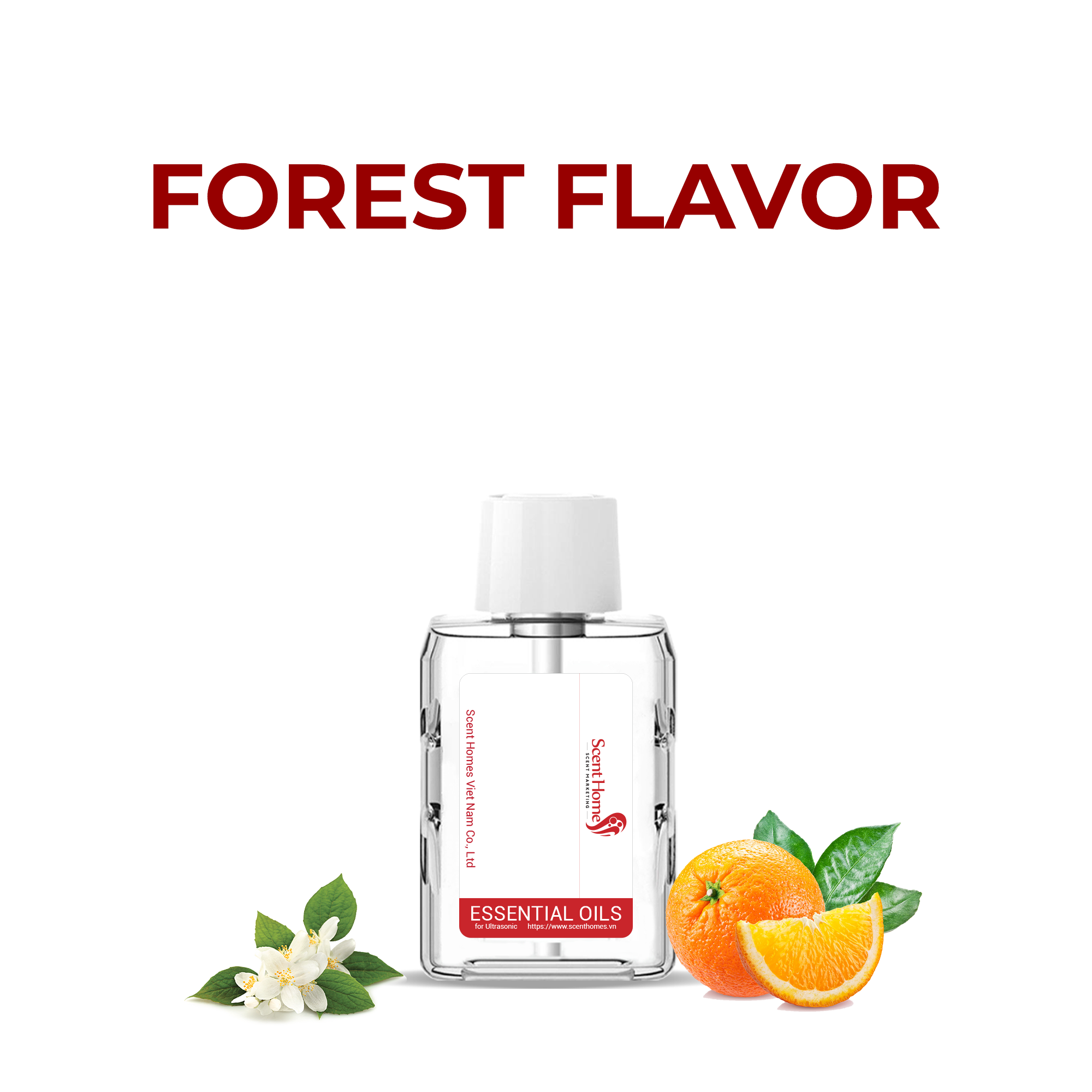 Tinh dầu Forest Flavor