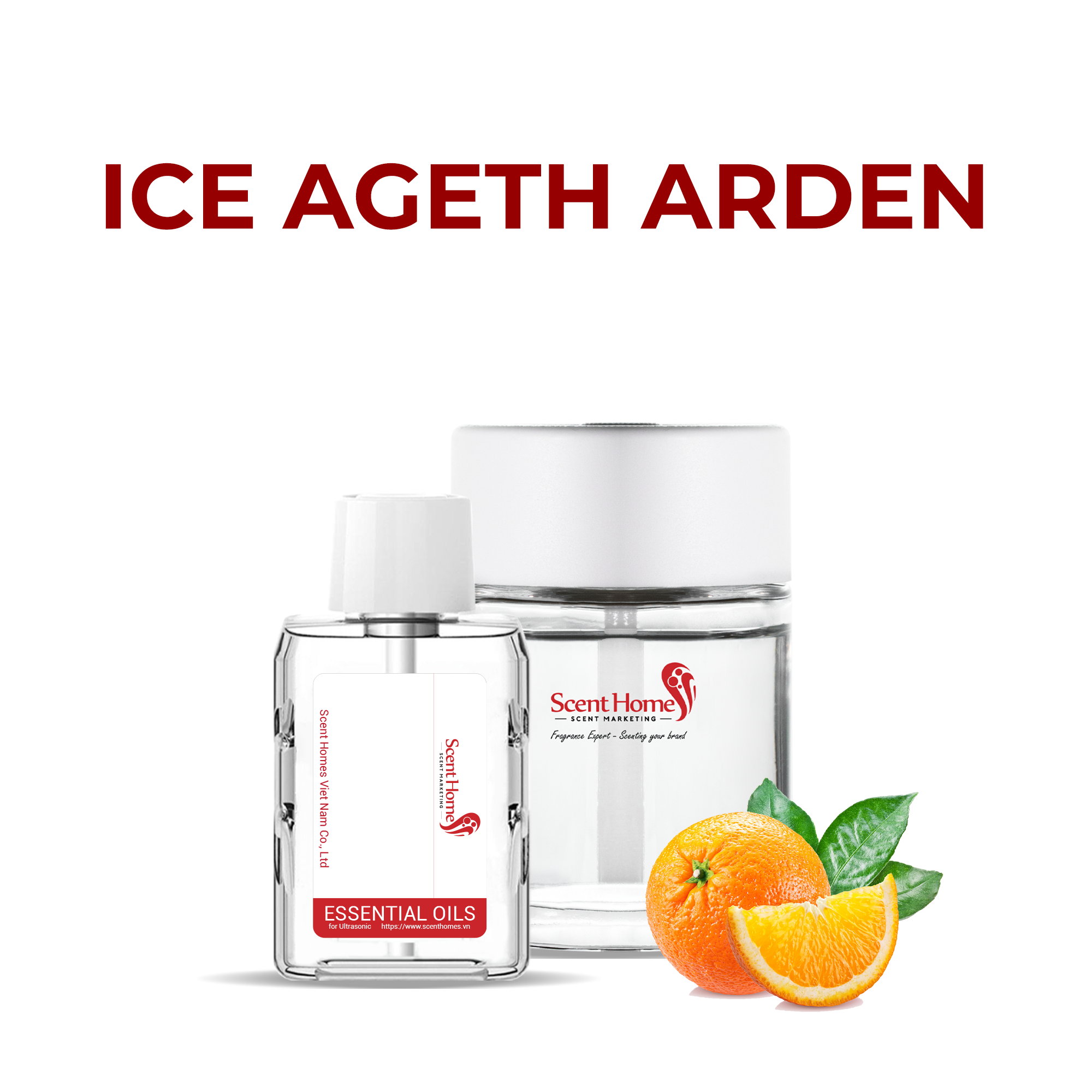 Tinh dầu Ice Ageth Arden