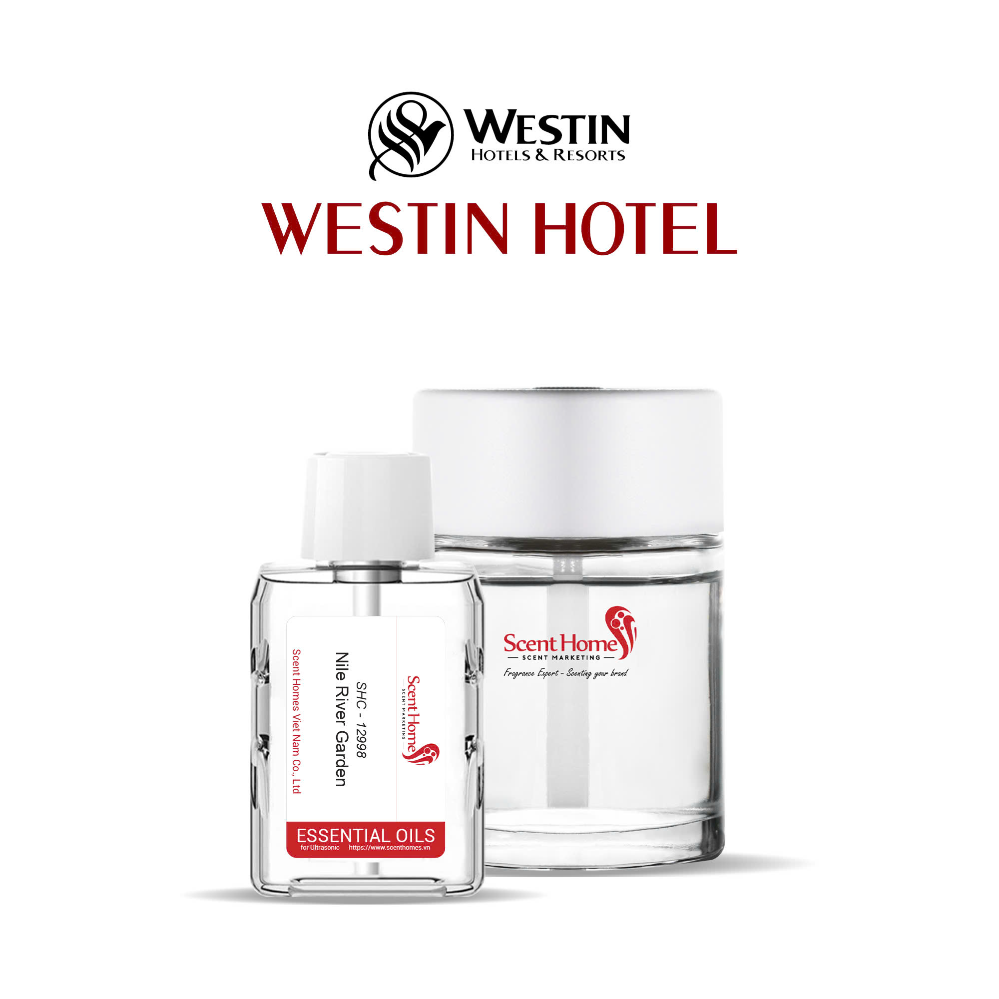 Tinh dầu Westin Hotel